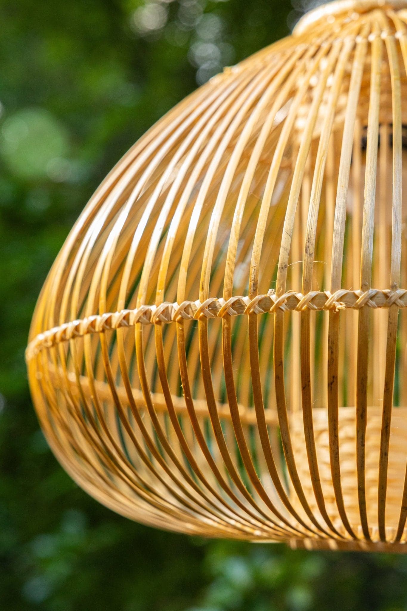 Pendant Lights
